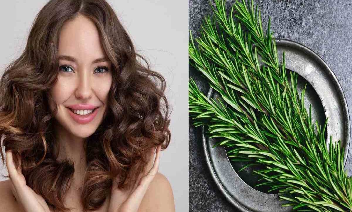 Rosemary leaves for hair