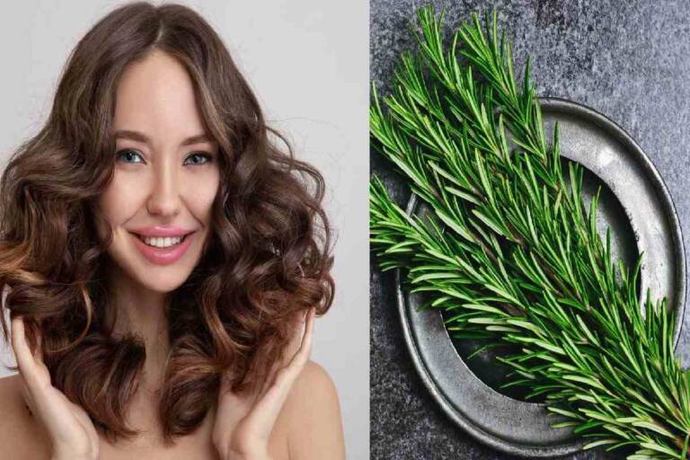Rosemary leaves for hair